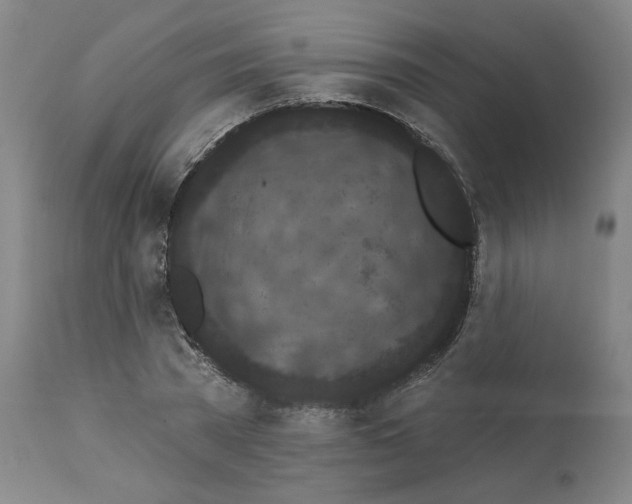X0000112160785200909181446