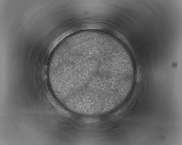X0000112160786200909181446