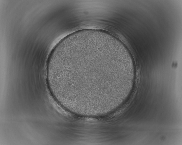 X0000112160787200909181446