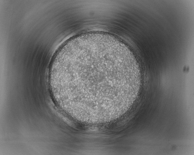X0000112160790200909181446