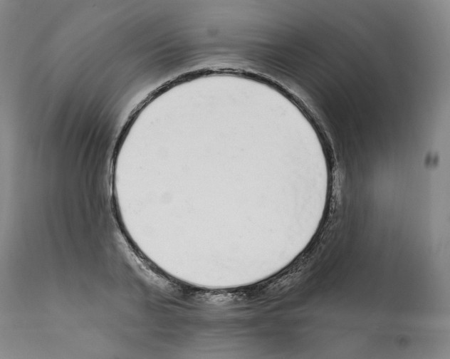 X0000112160791200909181446