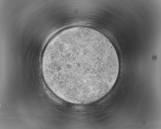 X0000112160792200909181446