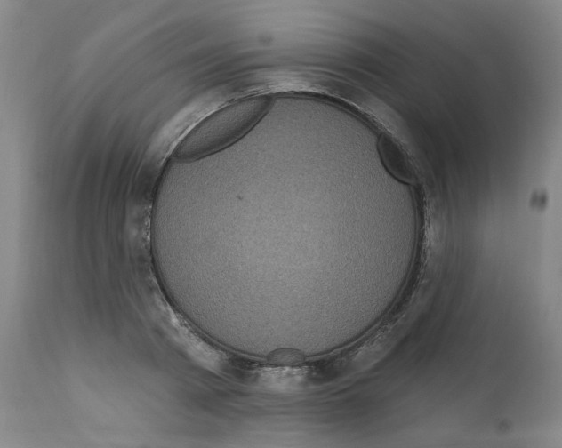 X0000112160793200909181446