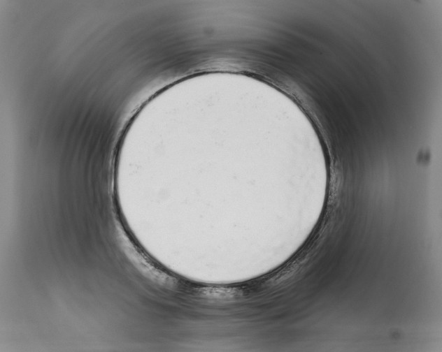 X0000112160795200909181446