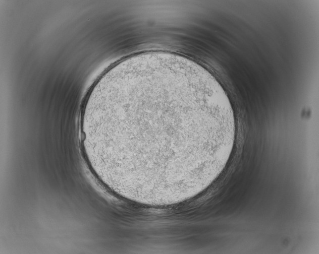 X0000112160796200909181446
