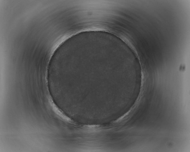 X0000112160797200909181446