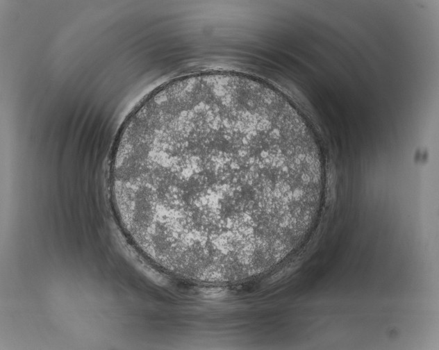 X0000112160798200909181446