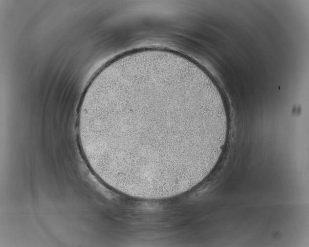 X0000112160799200909181446