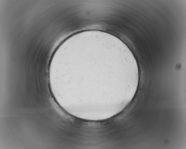 X0000112160800200909181446