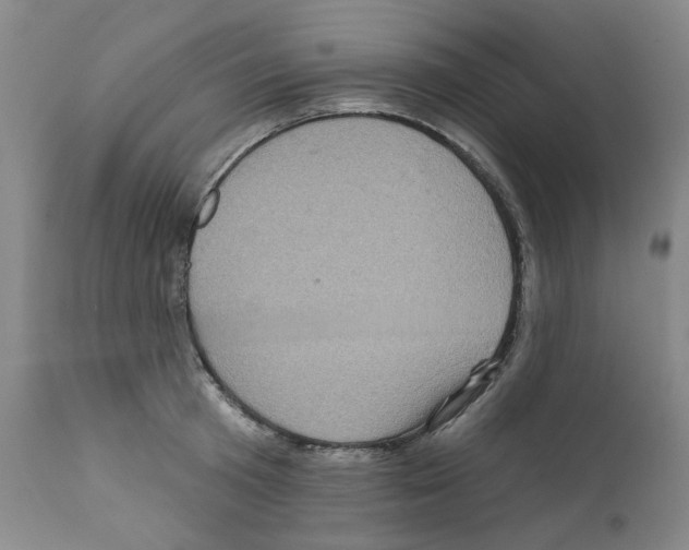 X0000112160801200909181446