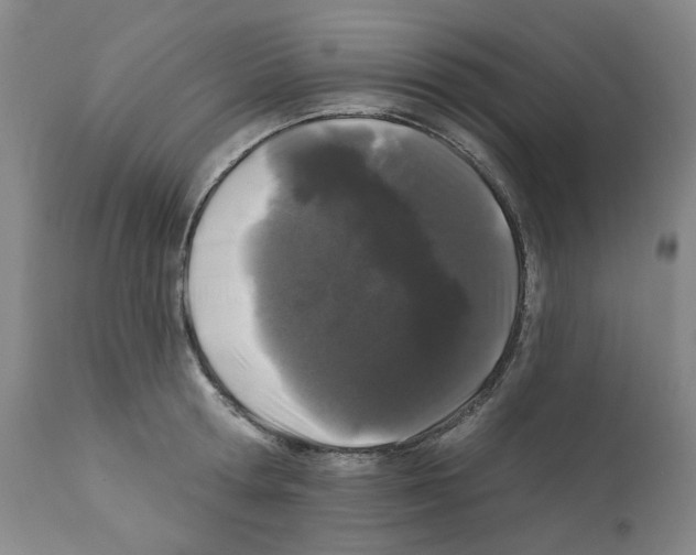 X0000112160802200909181446
