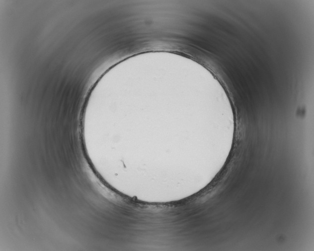 X0000112160803200909181446