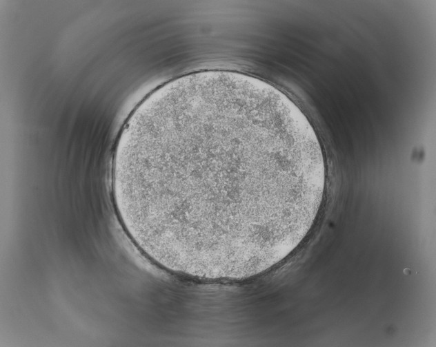 X0000112160804200909181446