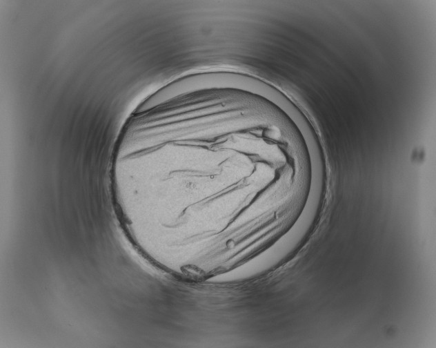 X0000112160805200909181446