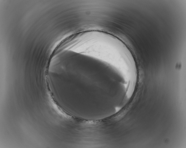 X0000112160806200909181446