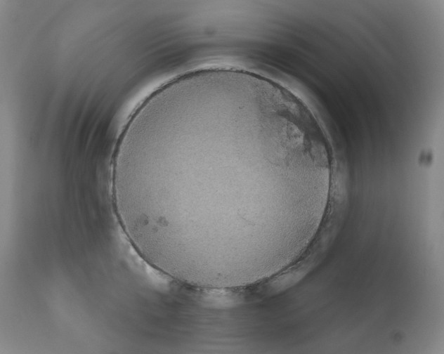 X0000112160807200909181446