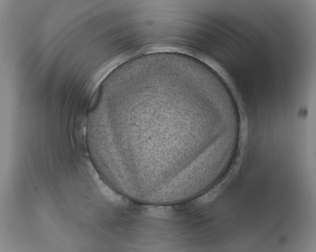 X0000112160809200909181446