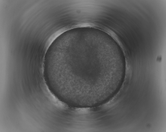 X0000112160810200909181446