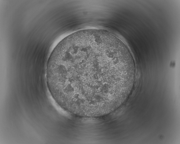 X0000112160811200909181446
