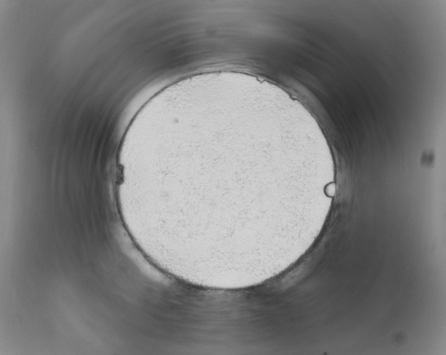 X0000112160812200909181446