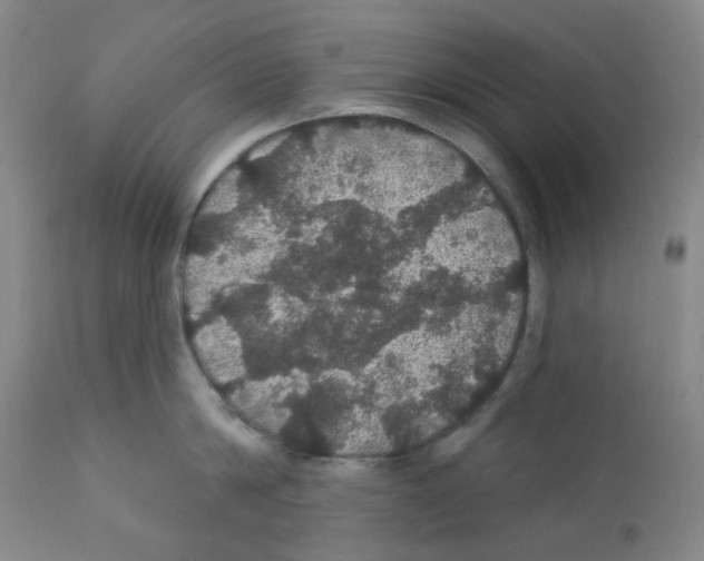 X0000112160814200909181446