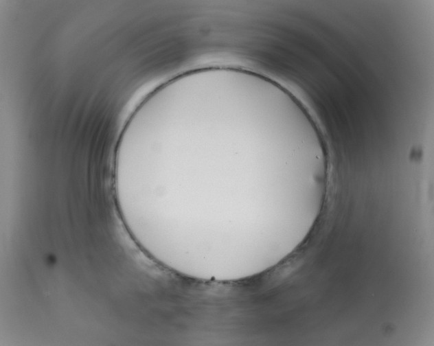 X0000112160815200909181446
