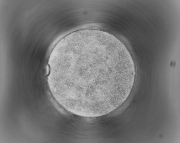 X0000112160816200909181446