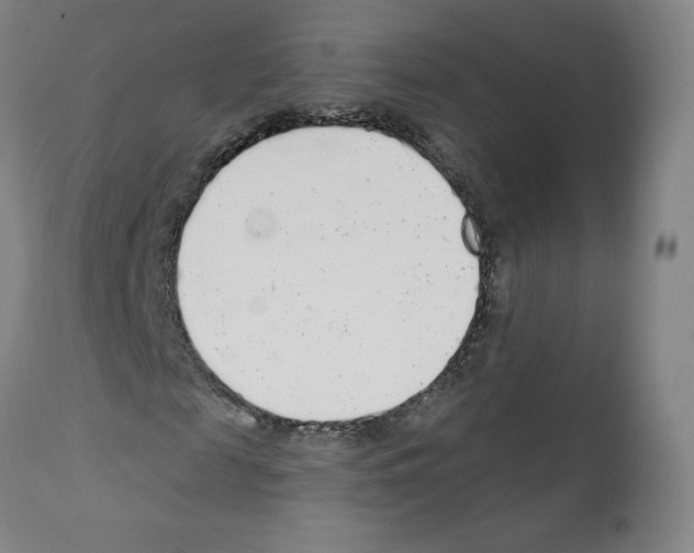 X0000112160817200909181445
