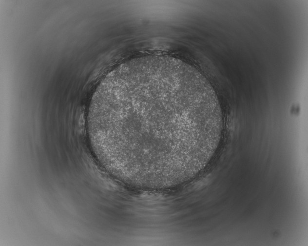 X0000112160818200909181445