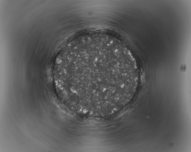 X0000112160819200909181445