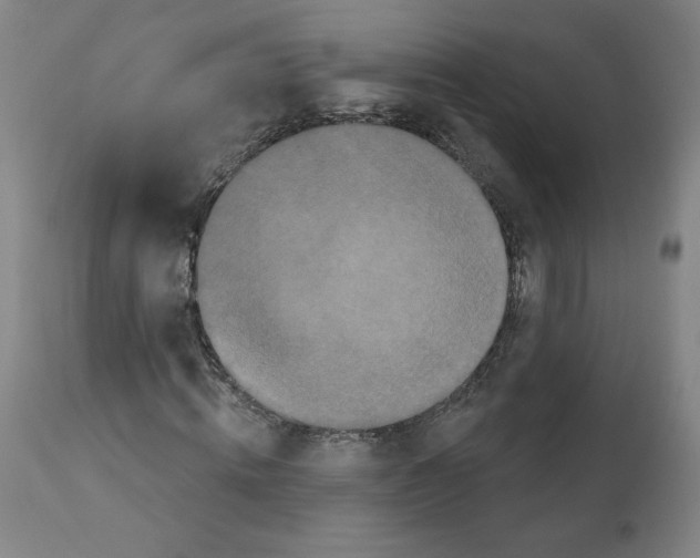 X0000112160820200909181445