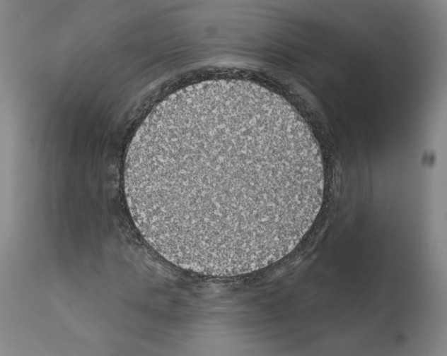 X0000112160821200909181445