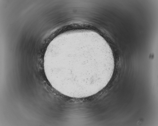 X0000112160822200909181445