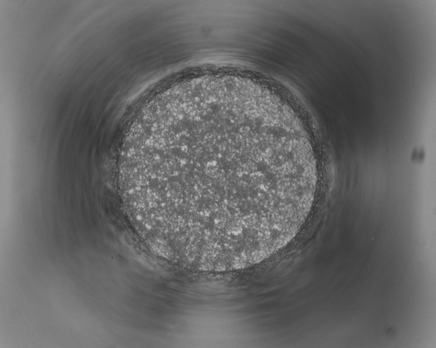 X0000112160823200909181445