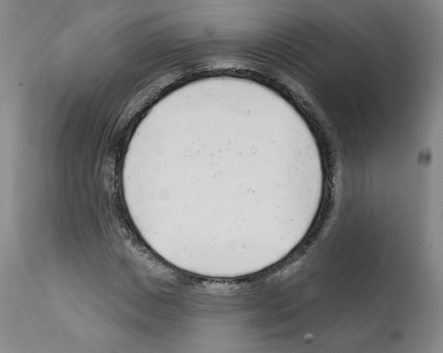 X0000112160825200909181445