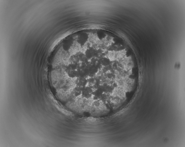 X0000112160827200909181445