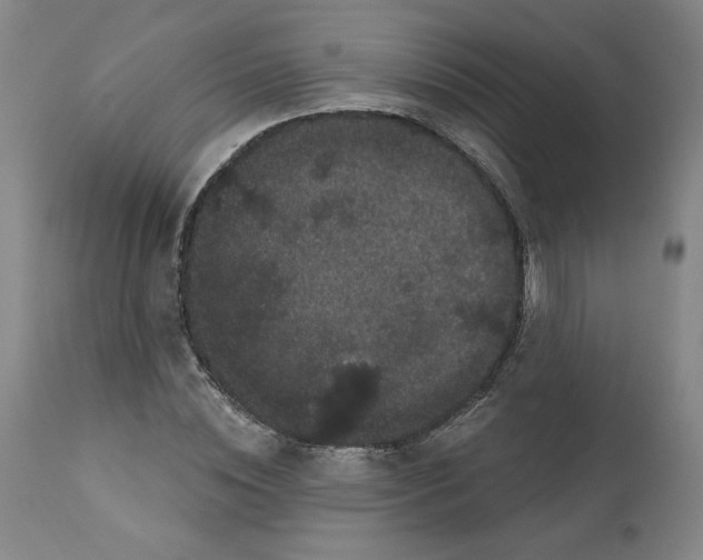 X0000112160828200909181445
