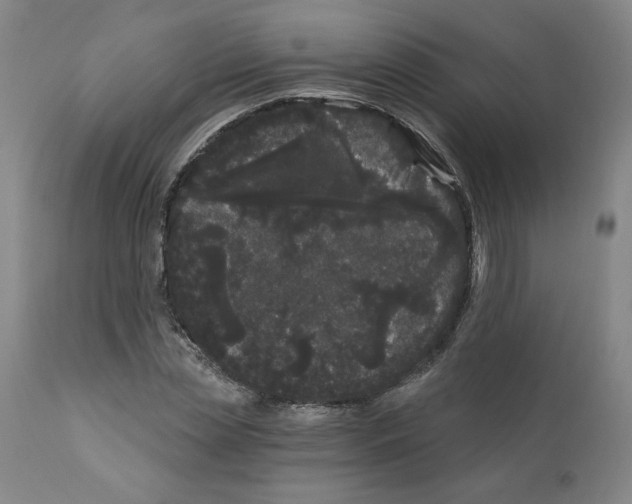 X0000112160829200909181445