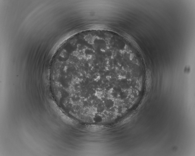 X0000112160831200909181445