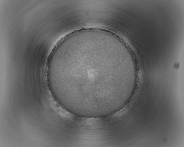 X0000112160832200909181446