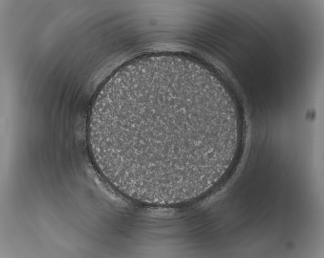 X0000112160833200909181446