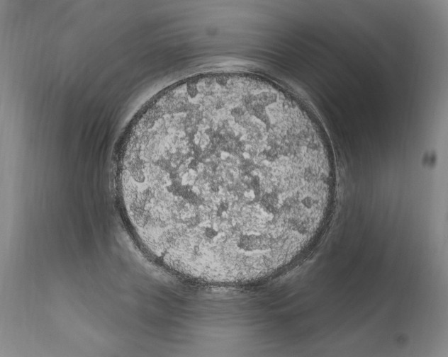 X0000112160835200909181446