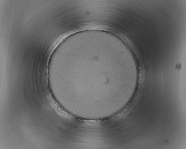 X0000112160836200909181446
