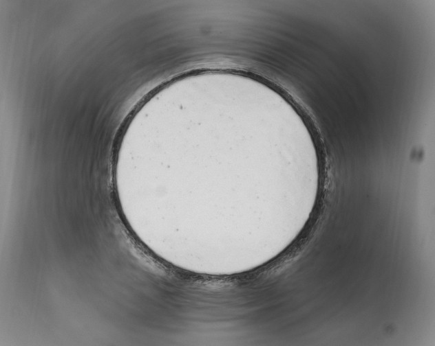 X0000112160837200909181446