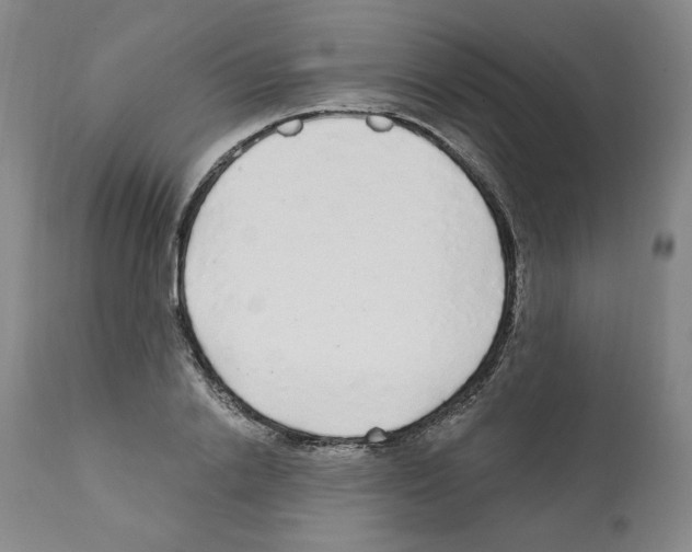 X0000112160838200909181446