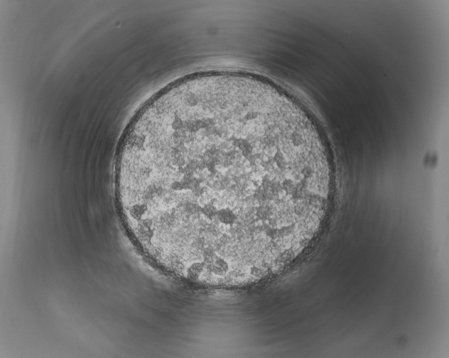 X0000112160839200909181446
