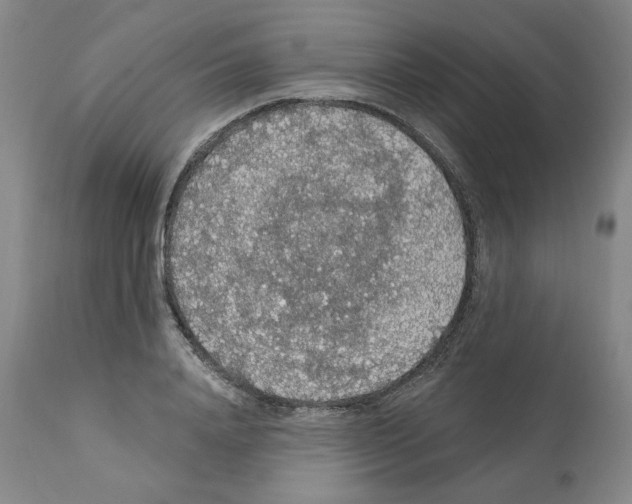 X0000112160840200909181446
