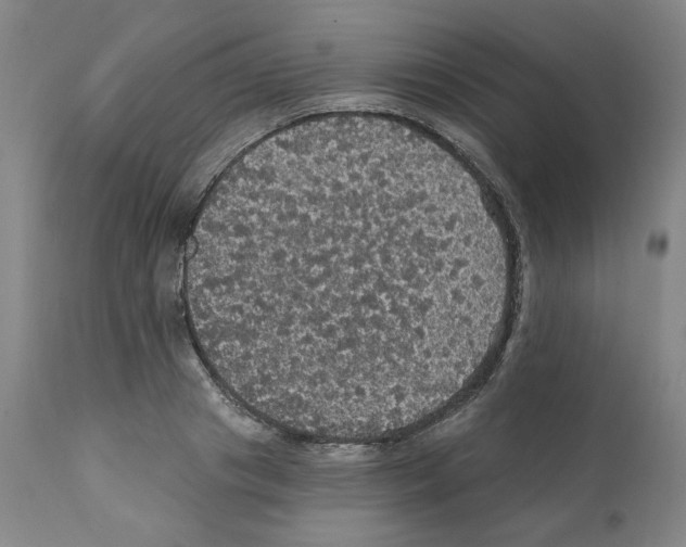X0000112160841200909181446