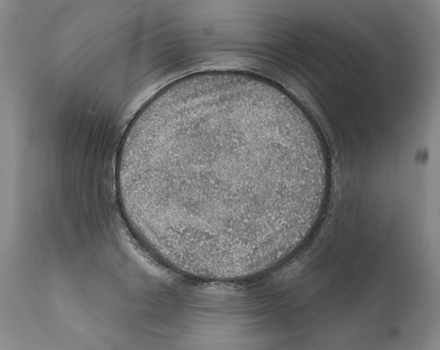 X0000112160842200909181446