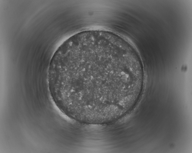 X0000112160847200909181446